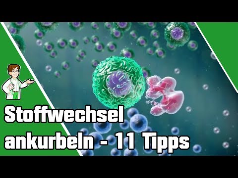 Stoffwechsel ankurbeln - die Top 11 Tipps 💯