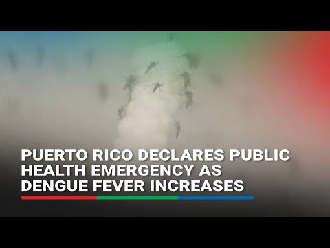 Puerto Rico declares public health emergency as dengue fever increases