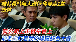 我被裁員時無人送行，僅帶走1盆綠蘿，新公司上市發布會上，前老闆盯着我手裡的綠蘿臉色大變#奇聞#案件#真相#職場#職場文化#故事#完結爽文#情感故事