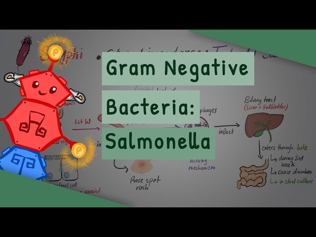 Video de pronunciación de salmonella en Inglés