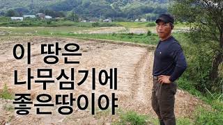 계단식 논은 배수에 유리해 나무 심기에 좋습니다 (단차) [조경수 재테크 컨설팅 - 배수]