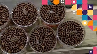 Download lagu Kepoin Pabrik Pembuatan Waffer Stik | SI UNYIL mp3