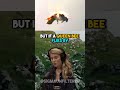 The Tragic Mating Ritual Of Queen Bees JRE Featuring Erika Thompson