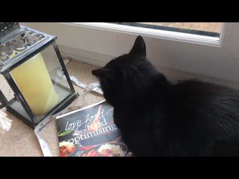 I Bought A Rainbow Squishy Mesh Ball!!!!!!!!!