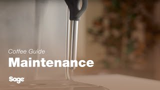The Barista Express™ Impress | How to clean and unblock your steam wand | Sage Appliances UK