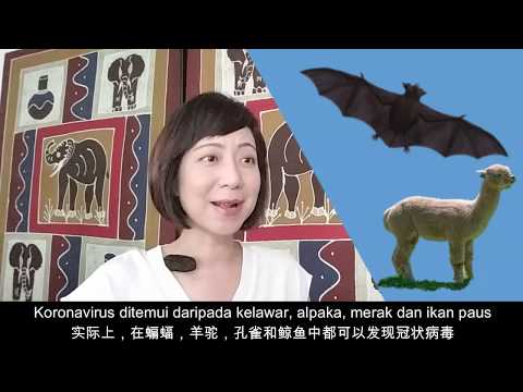 COVID-19 PART-4 (FINALE): Cure for COVID-19? (Malay & Chinese subs)