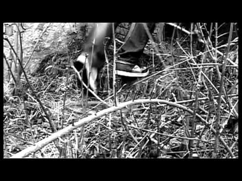 Video thumbnail for Pętla