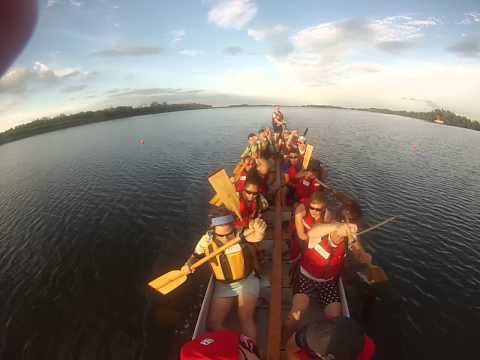 Paddlebot Practice #4