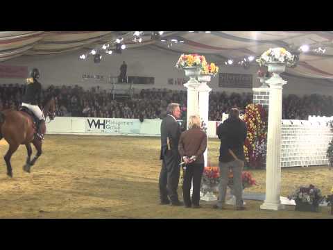 vancouver puissance arena uk 2013 SOLD