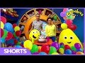 CBeebies Birthday Cards TV Trailer