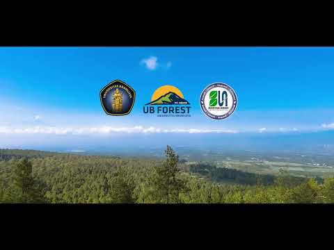 UB Forest Cinematic Travel Video HD720