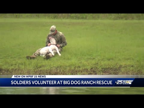 download lagu mp3 mp4 Big Dog Ranch Rescue Events, download lagu Big Dog Ranch Rescue Events gratis, unduh video klip Big Dog Ranch Rescue Events