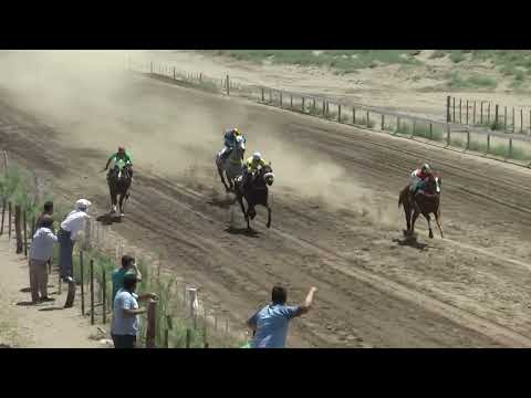 JOY PABLITO  "Club Hipico Añelo"  - Añelo -   27-11-2022