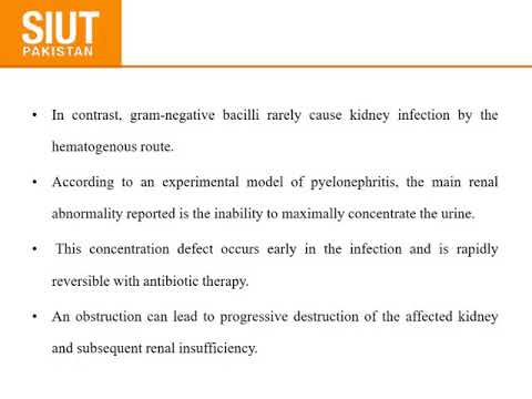 Journal Club at SIUT on 22nd April 2020: Urological infections in immunocompromised patients