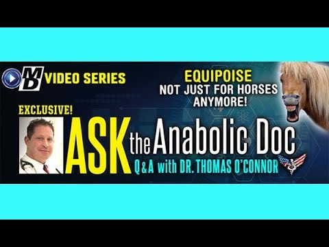 Ask the Anabolic Doc Ep 49 | Equipoise - not just for horses!