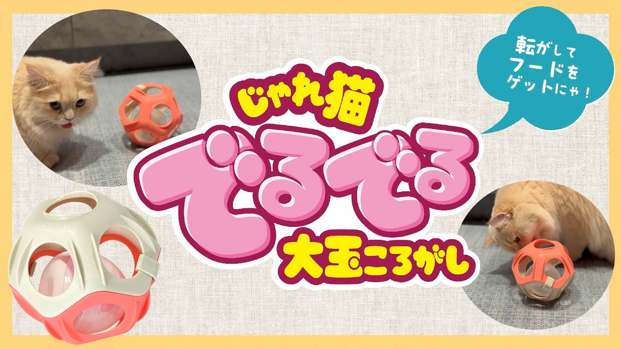 コロコロ転がしてフードをGETする知育トイ！【じゃれ猫　でるでる大玉ころがし】