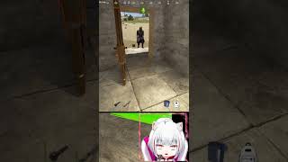 ぷらむりあさんはうちのネコと同じ行動をする | #kumichanko_game_jp (#Twitch)