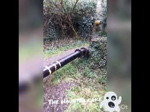 The Most Haunted Fishing Lake in the UK! Carp Lake surrounded by Witchcraft and Ghosts!