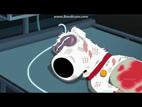 Family Guy - Season 12 Episode 3 - Brian's Death