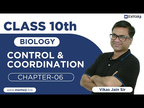 Control And Coordination FULL CHAPTER | Class 10th Science | Chapter 6 | MentorJi
