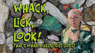 WHACK! LICK! LOOK! ROCKS & TEA ADVENT CALENDARS