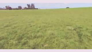 TAEYEON テヨン &#39;Vanilla&#39; FMV