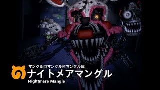 けものフナッフ　2話「まんぐるちほー」