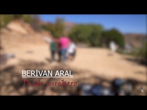 Berivan Aral - Dızdo