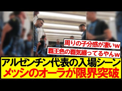 アルゼンチンハイイロギツネについて詳しく解説