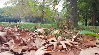 Ben Kedim Yatağım - Ayça / Sezen Aksu