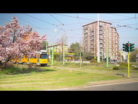 La Lettura Intorno | Domani è primavera. Primavera di pace.