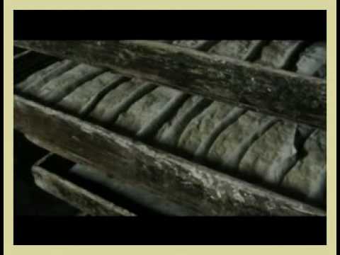 Pane e camorra   L'espresso   Multimedia