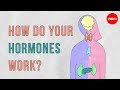 How Do Your Hormones Work Emma Bryce