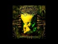 Annotations Of An Autopsy - Welcome To Sludge ...