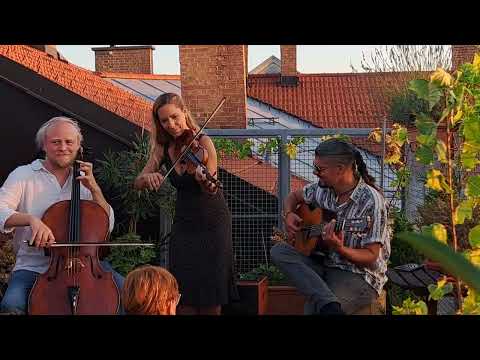 Wild Strings Trio (Maribor 2023)