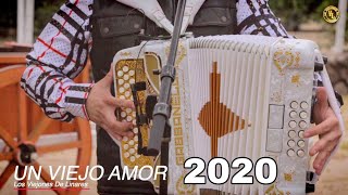 Los Viejones de Linares - Un Viejo Amor