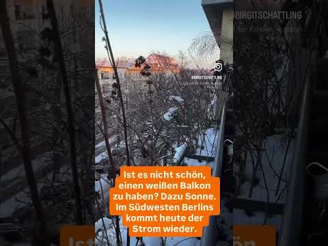 Balkonpflanzen winterfest machen: Schnee & Frost trotzen