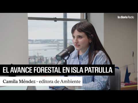 El conflicto socioambiental en Isla Patrulla