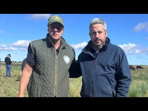 Mercados internacionales en alerta: lo que revela Matías Martiarena del IPCVA