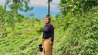 Download lagu BERTEMU JANDA KORBAN PERCERAIAN BERJUANG SENDIRI DI SAAT EKONOMI SULIT mp3