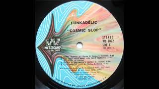 FUNKADELIC  - You Can&#39;t Miss What You Can&#39;t Measure