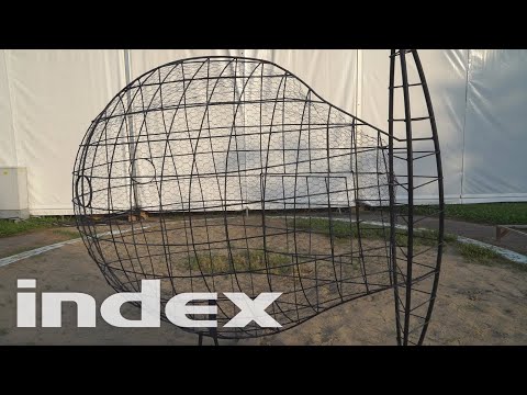 Egymillió forintot ér a Szegedi Ifjúsági Napok aranyhala