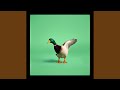 Duck Waddle