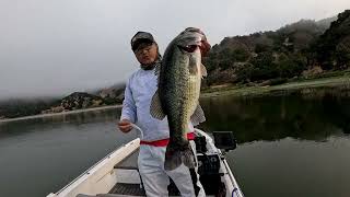 DrancKrazy Skibble. Quiver Trappen Technique