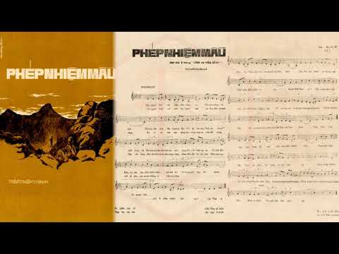 Phép nhiệm màu Sheet - Nhật Trường