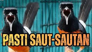 Download lagu MATERI MEWAH‼️SUARA PANCINGAN MURAI BATU GACOR AMPUH JADIKAN MURAI BATU KITA TERPANCING CEPAT BUNYI mp3 Download lagu MATERI MEWAH‼️SUARA PANCINGAN MURAI BATU GACOR AMPUH JADIKAN MURAI BATU KITA TERPANCING CEPAT BUNYI mp3