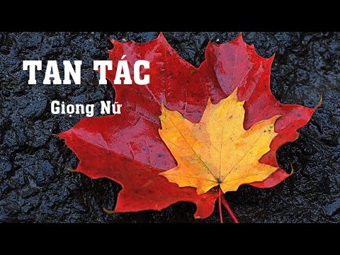 Karaoke Tan Tác (Giọng Nữ Nhạc Hay)_Karaoke Phúc Nguyễn