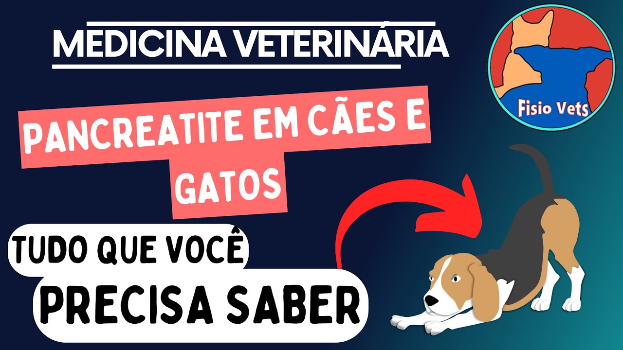 Pancreatite em Cães e Gatos - Fisiopatologia, Sinais Clínicos e Diagnóstico
