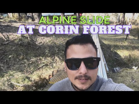 Explore the AMAZING Corin Forest Alpine Slide in Canberra!