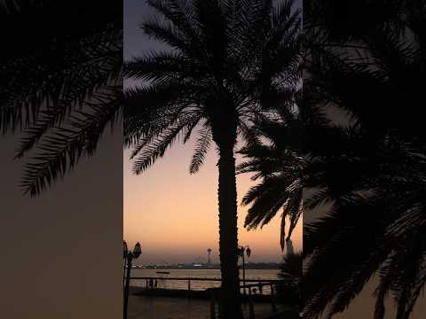 Abu Dhabi 📍Corniche #minivlog #beach #summer